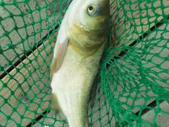 -盐官日光域房车营地·有盐餐厅