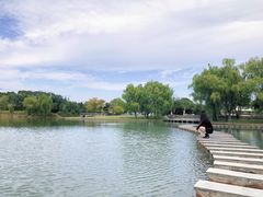 -上海佘山世茂艾美酒店
