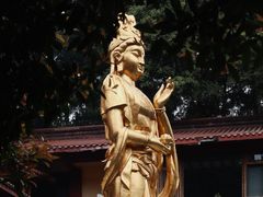-都江堰普照寺