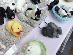 -亚马逊丛林水乐园