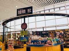 -青岛胶东国际机场