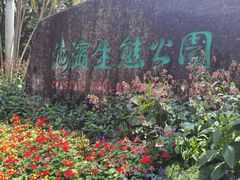 -福田红树林生态公园
