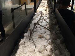 -喜茶(深圳东门1234店)