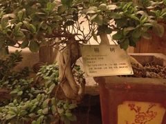 -文儒九号·闽菜馆(三坊七巷店)