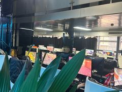 -绿树电竞(五路店)
