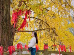 -金堂县云顶石城风景区