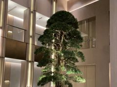 -外滩·云南人家(昆明旗舰店)