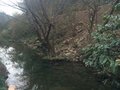 -夏霖九天银瀑风景区