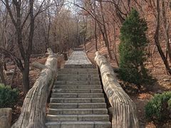 -金龙寺国家森林公园