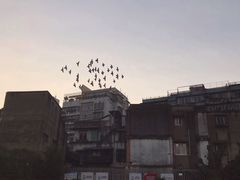 -石炮台公园