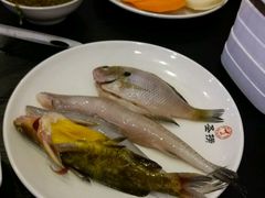 -圣捞海鲜自助餐厅(乐从天佑城店)
