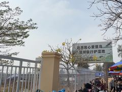 -北海金海湾红树林生态旅游区