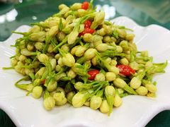 凉拌茉莉花-白魁老号饭庄(交道口店)