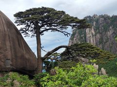 -高一点·徽味酥饼王·黄山烧饼