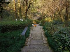 -杭州半山国家森林公园