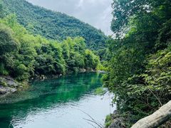 -石台牯牛降景区