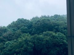 -东钱湖旅游度假区