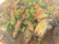 -全乐鱼馆·淳牌有机鱼直营店