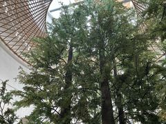 -同里国家湿地公园