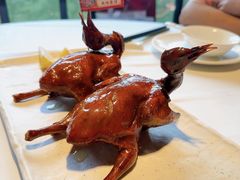 -侨美·唐荔园·40年地道粤菜