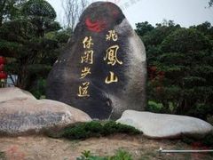 -飞凤山奥体公园