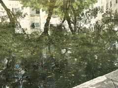 -晓港公园