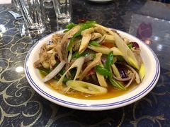 椒麻鸡-乡村馕坑肉·烧烤·新疆菜·本地人更爱吃(阿勒泰首店)