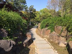 -上海鲜花港