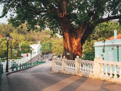 -龙环葡韵住宅式博物馆