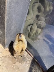 -酷嗒动物文化乐园(cutezoo西溪乐天城店)