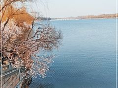 -颐和园