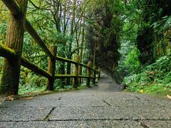 -西岭雪山大飞水景区