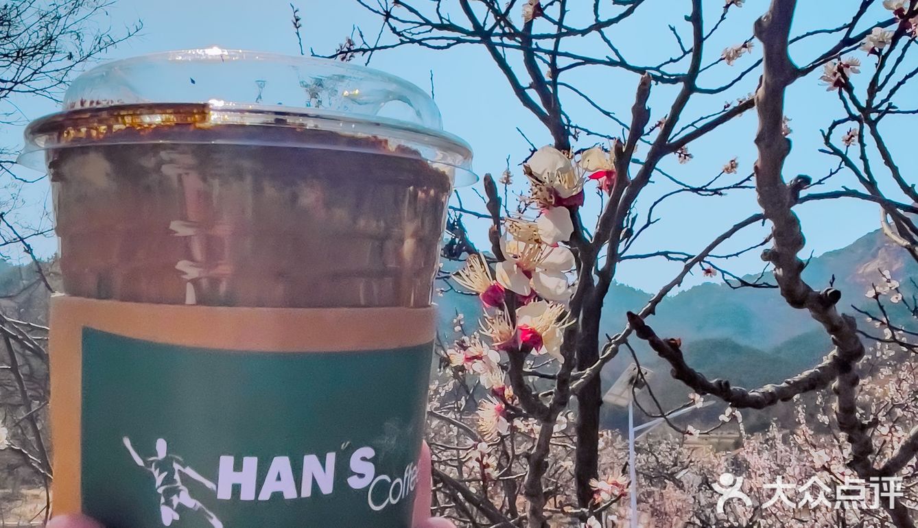 青岛崂山超小众咖啡店❗️真的有被美到呢