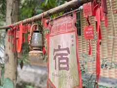 -小洲村