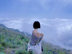 -白草畔自然风景区