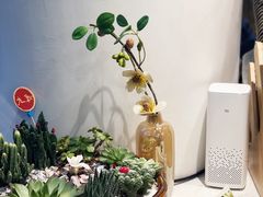 -九秋茶铺(三里屯店)