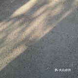 重庆一日