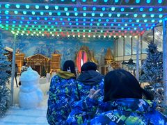 -世界之窗阿尔卑斯冰雪世界