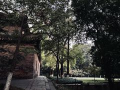 -灵谷景区