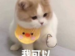 -鲜芋仙Meet Fresh(五道口店)