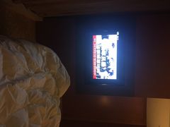 皇庭V酒店-深圳皇庭V酒店