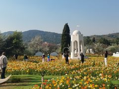 -名花谷生态庄园