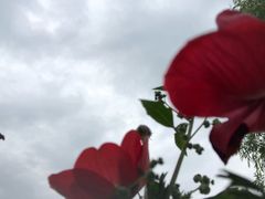 -UNI UNI(环亚凯瑟琳店)