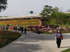 -秀丽东方
