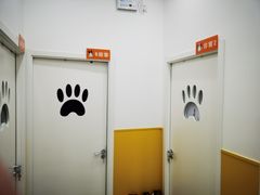 -瑞派·爱瑞可动物医院·口腔专科(广华新城分院)