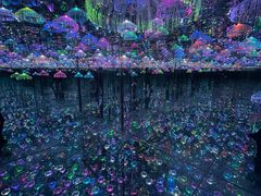 -天津梵高星空艺术馆(天河城旗舰店)