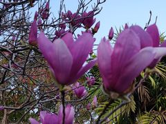 -华南国家植物园-售票处