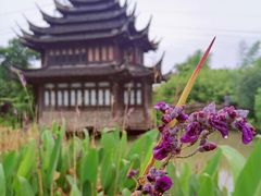 -韩湘水博园
