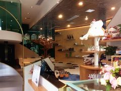 -飞行喵MR PILOT|猫舍·猫咖(静安大融城店)