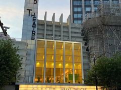 -大光明电影院(南京西路店)
